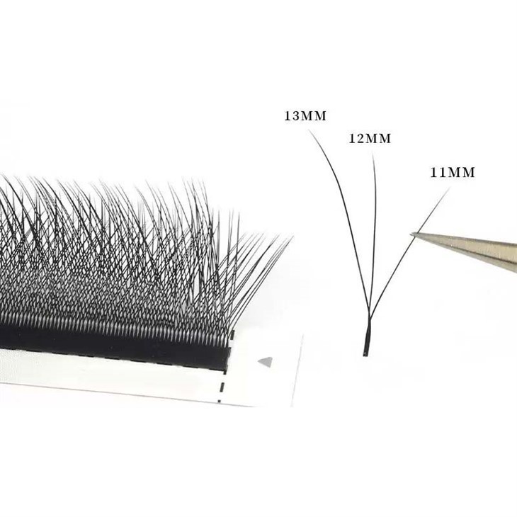 Ekstensi bulu mata rubah